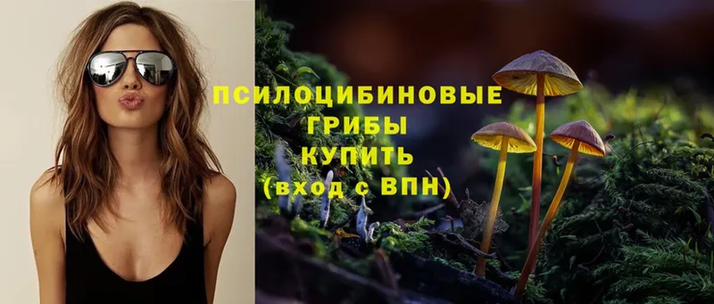 Псилоцибиновые грибы Magic Shrooms  где купить наркоту  Лабинск 